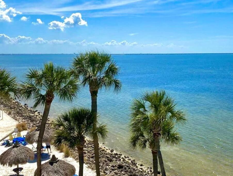 On The Rocks Villa Tampa Exterior photo